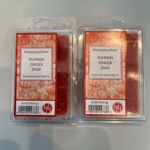 NEW~ 2 ~HUNTINGTON HOME PUMPKIN GINGER SNAPs SCENTED WAX MELTS CANDLE 2.5 OZ